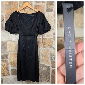 NWT David Meister 4 Puff Sleeve Belted Sheath Dress
